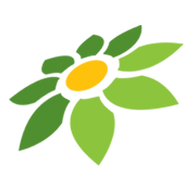 VIDIO TOKOPEDIA